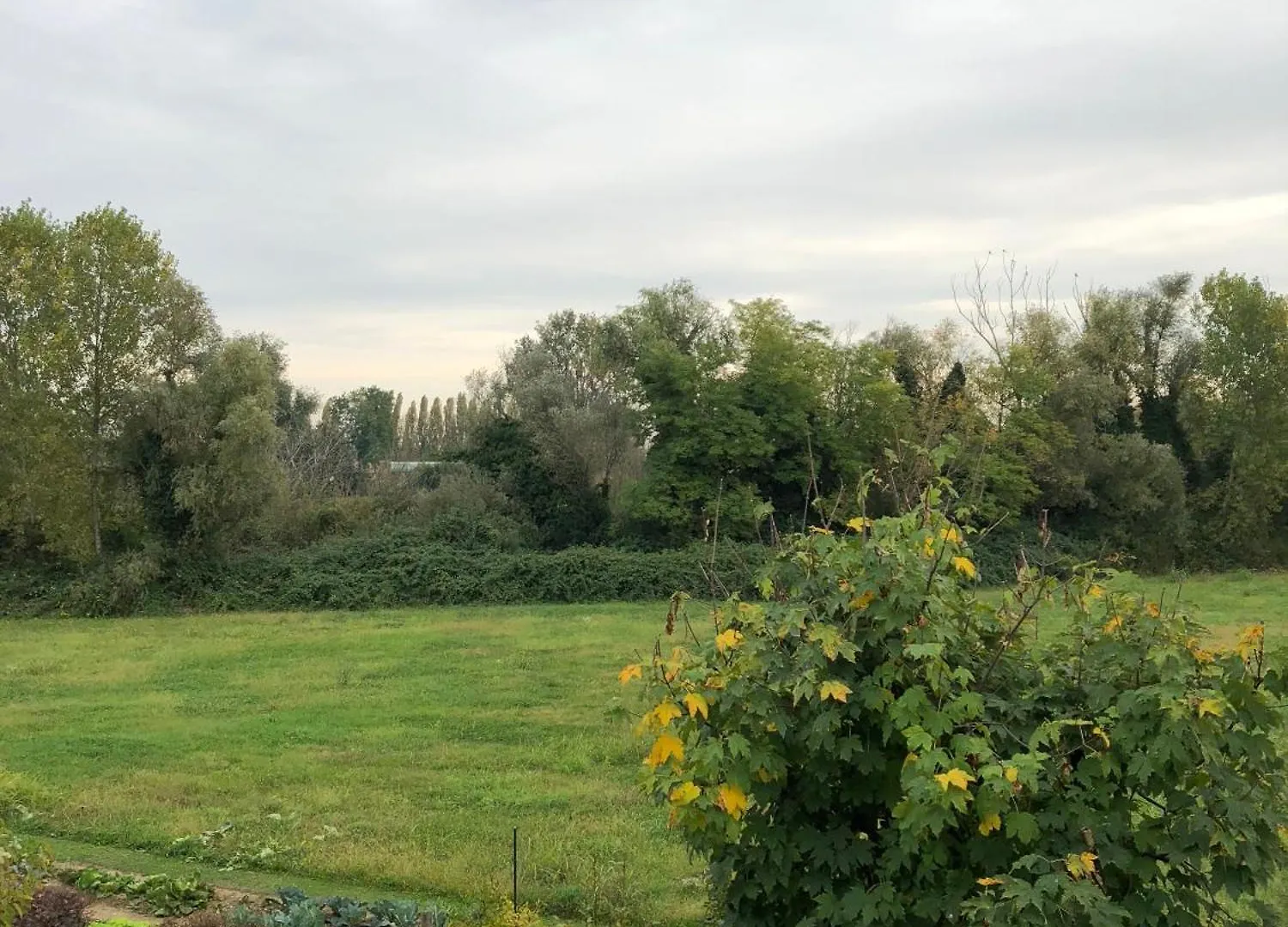 La Stanza Di Cesare Apartment Treviso